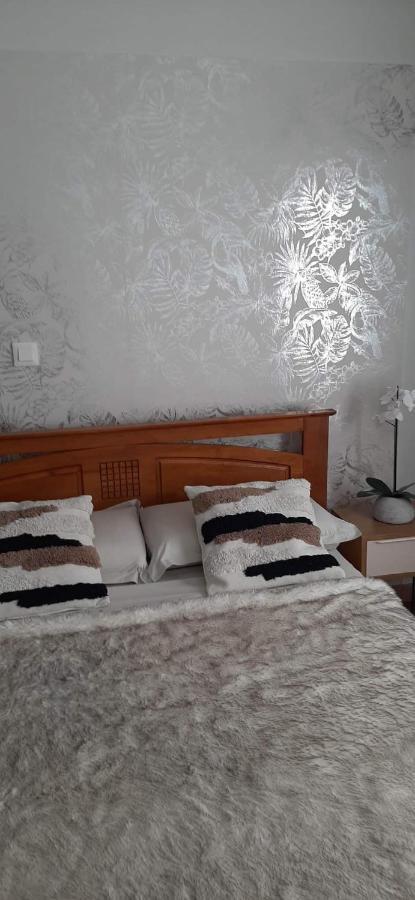 Kaz Papaye Apartment Saint Pierre Luaran gambar